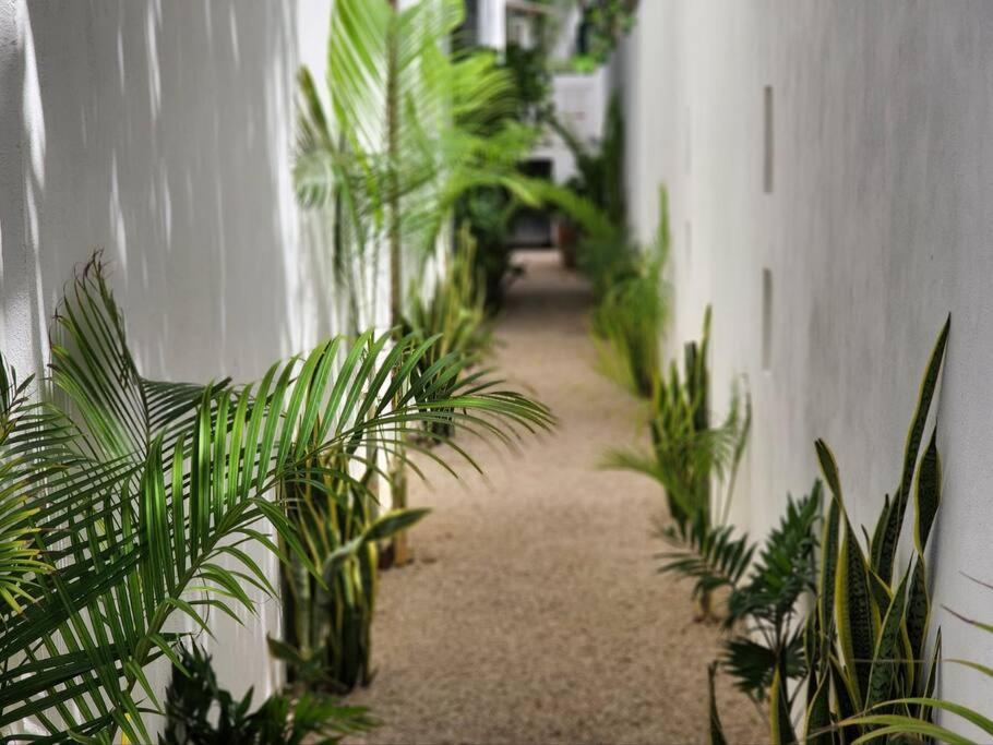 Amazing Jungle Retreat Lahkah Tulum Appartement Buitenkant foto