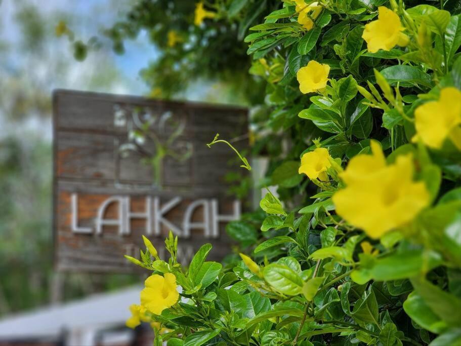 Amazing Jungle Retreat Lahkah Tulum Appartement Buitenkant foto