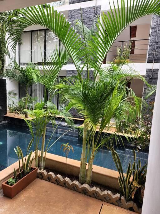 Amazing Jungle Retreat Lahkah Tulum Appartement Buitenkant foto